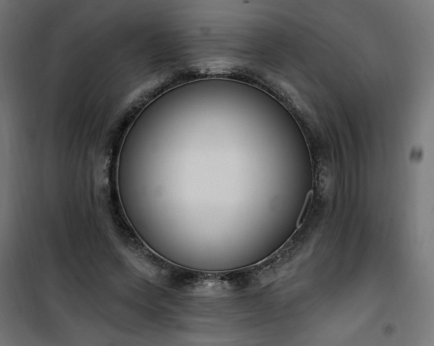 X0000101150543200807071152