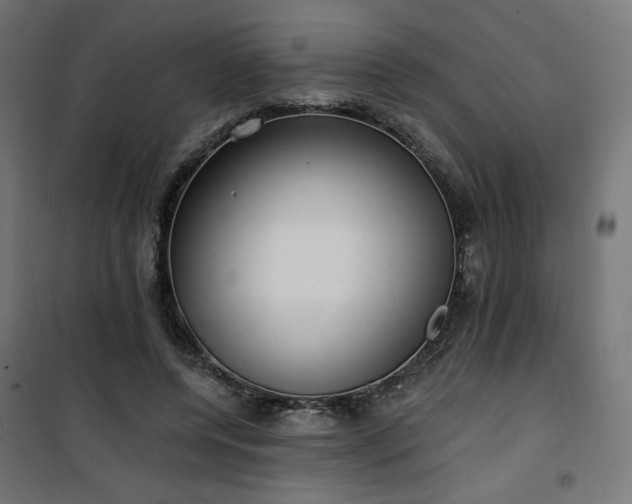 X0000101150544200807071152