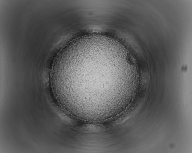 X0000101150545200807071152