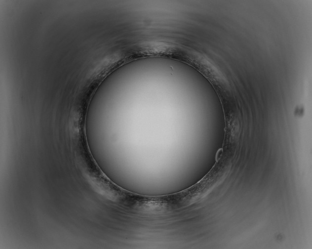 X0000101150546200807071152