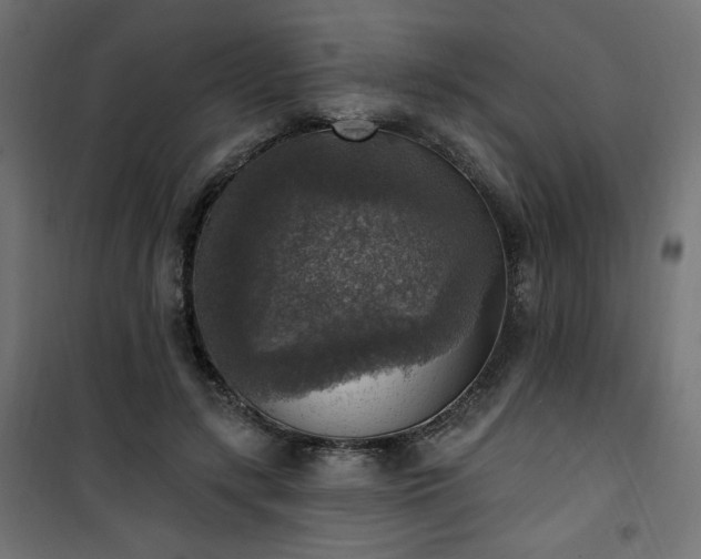 X0000101150547200807071152