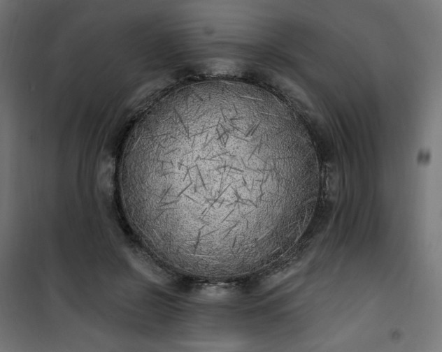 X0000101150550200807071152