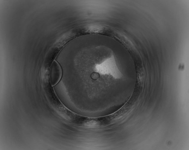 X0000101150551200807071152