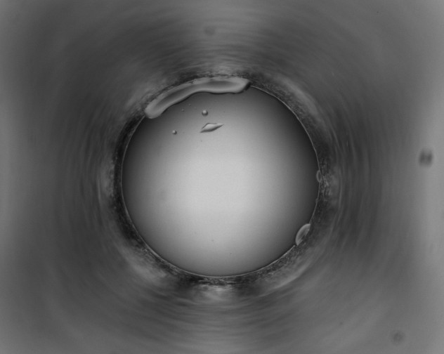 X0000101150552200807071152