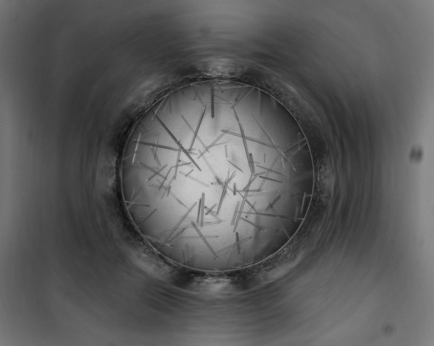 X0000101150554200807071152