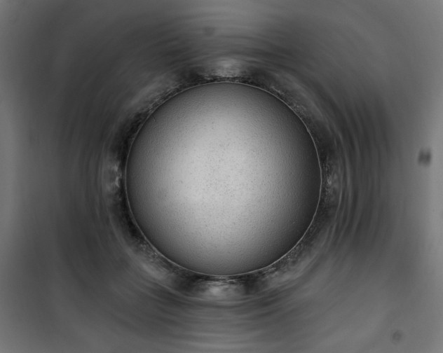 X0000101150555200807071152