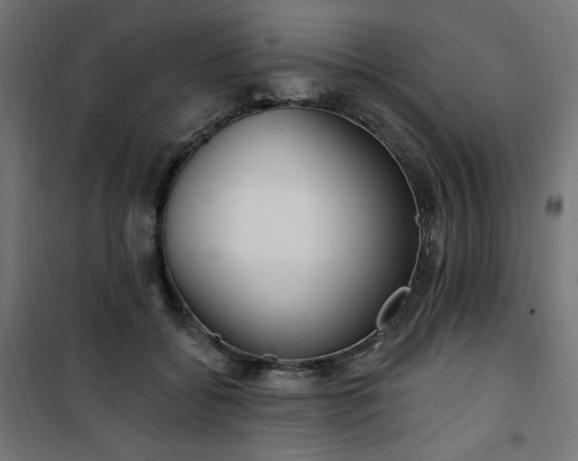 X0000101150556200807071152