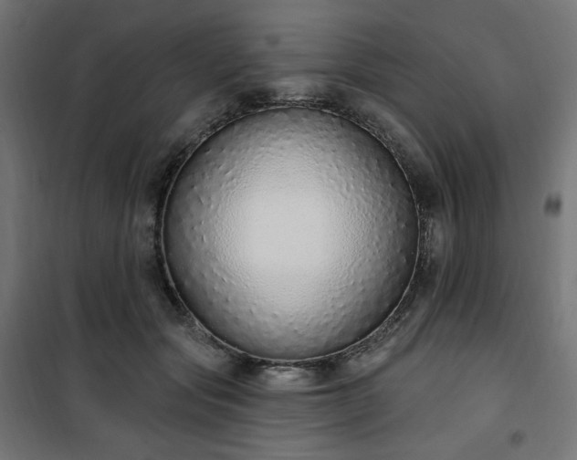 X0000101150557200807071152