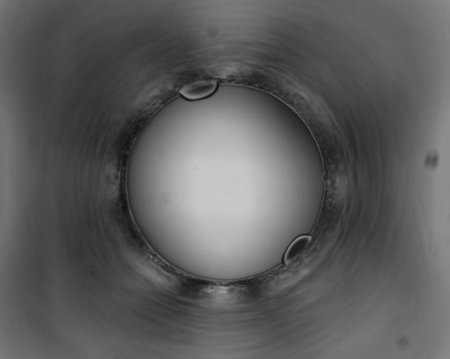 X0000101150558200807071152