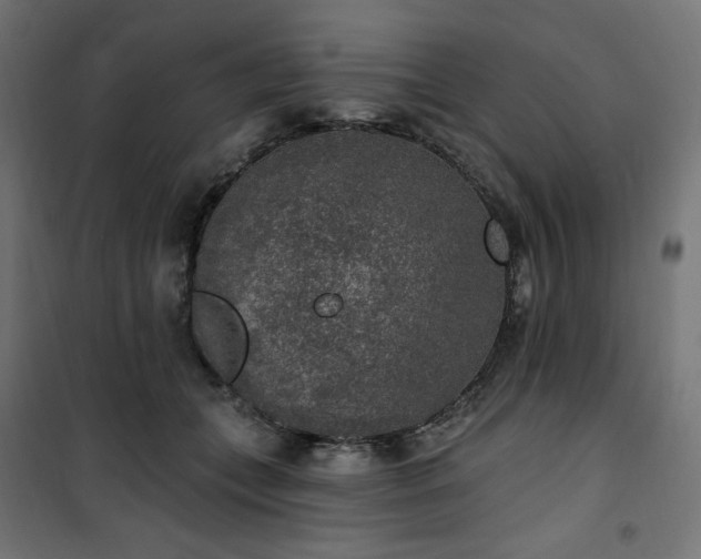 X0000101150559200807071152