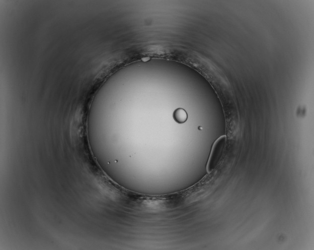 X0000101150560200807071152