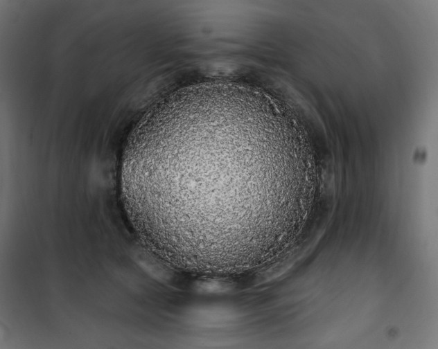 X0000101150561200807071152