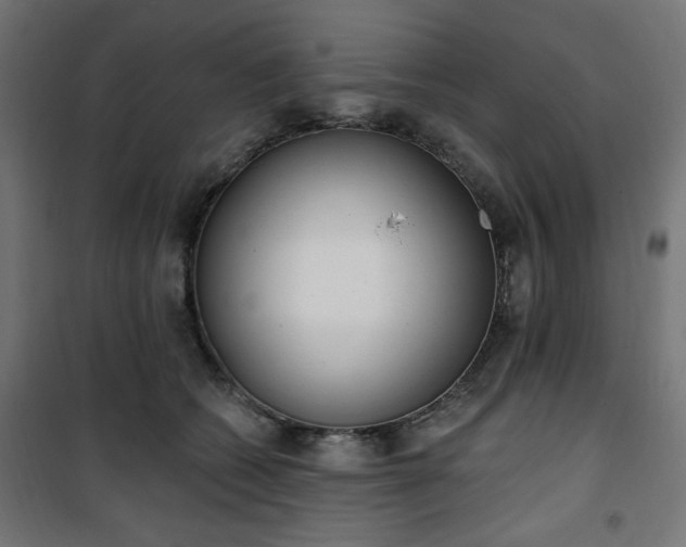 X0000101150562200807071152