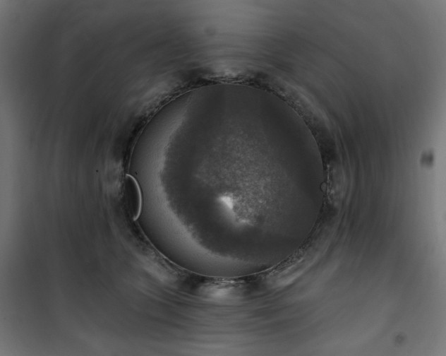 X0000101150563200807071152