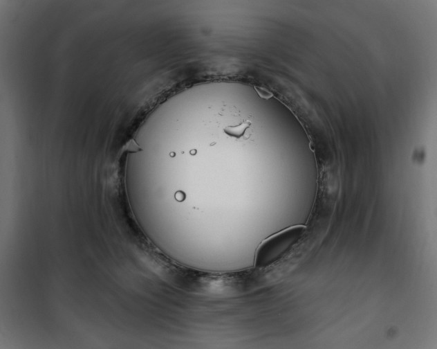 X0000101150564200807071152