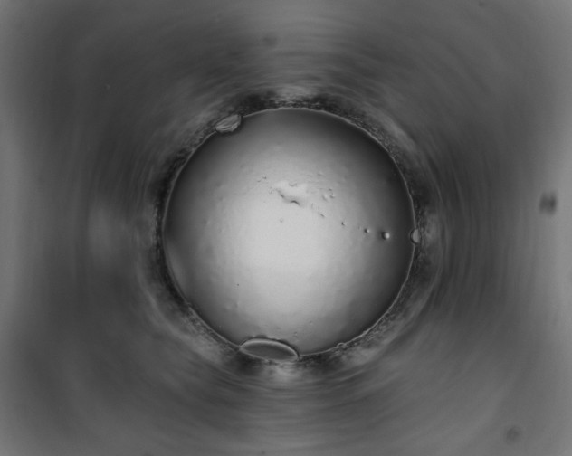 X0000101150565200807071152