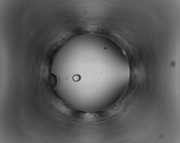 X0000101150566200807071152