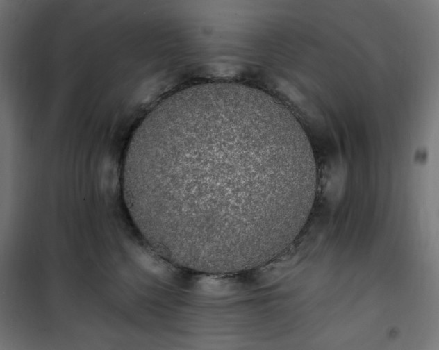 X0000101150568200807071152