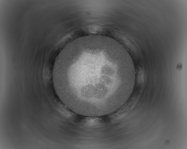 X0000101150569200807071152