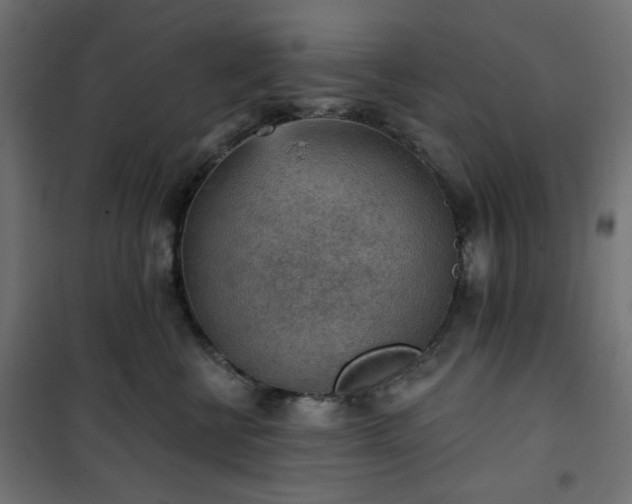 X0000101150570200807071152