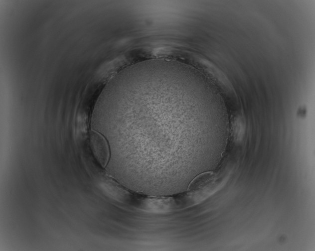 X0000101150571200807071152