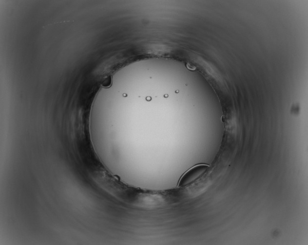 X0000101150572200807071153