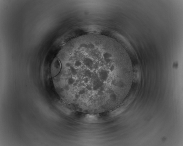 X0000101150573200807071153