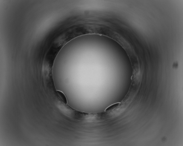 X0000101150574200807071153