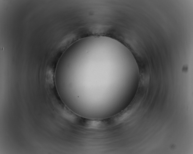 X0000101150575200807071153