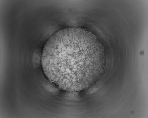 X0000101150576200807071153