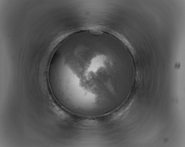 X0000101150577200807071152