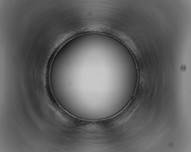 X0000101150578200807071152