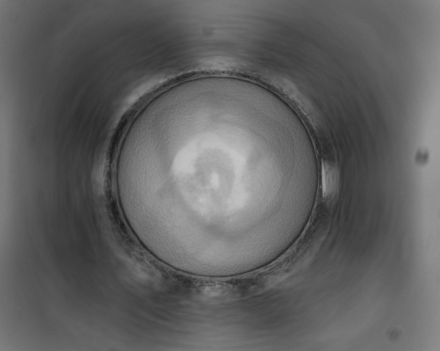 X0000101150579200807071152