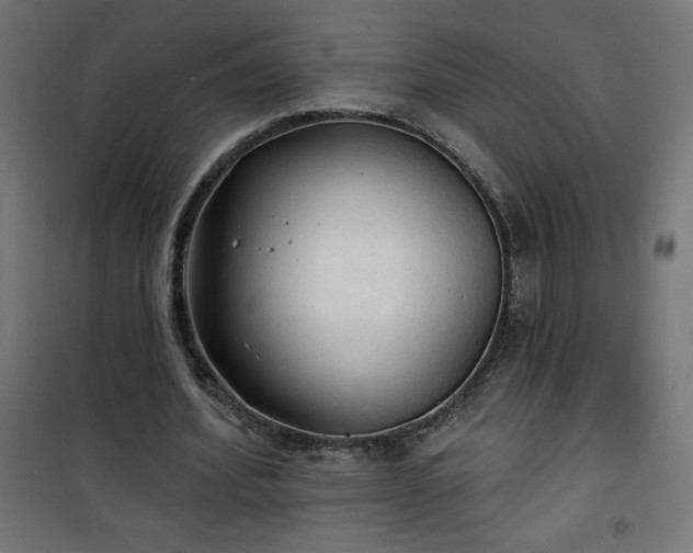 X0000101150580200807071152