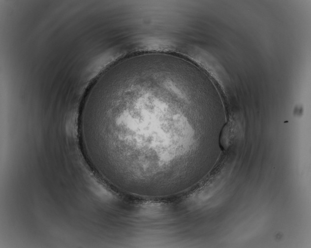 X0000101150581200807071152