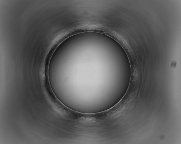 X0000101150582200807071152