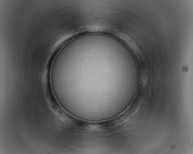 X0000101150583200807071152