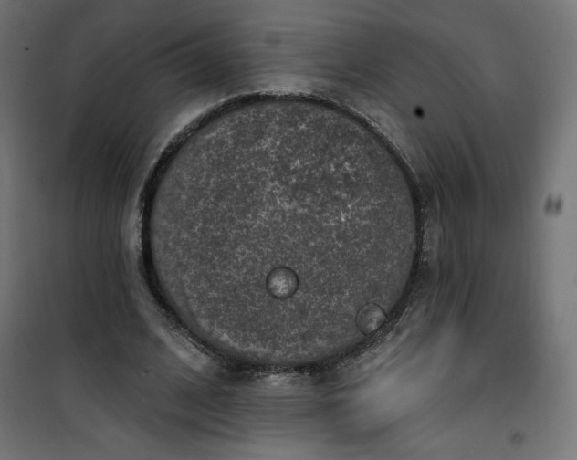 X0000101150584200807071152