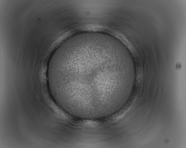 X0000101150585200807071152