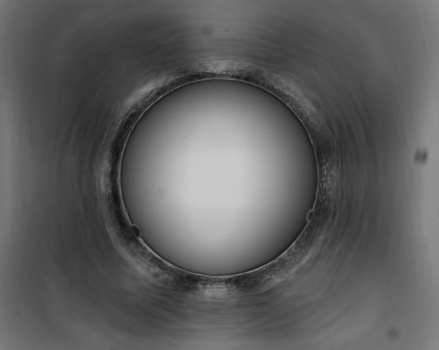 X0000101150587200807071151