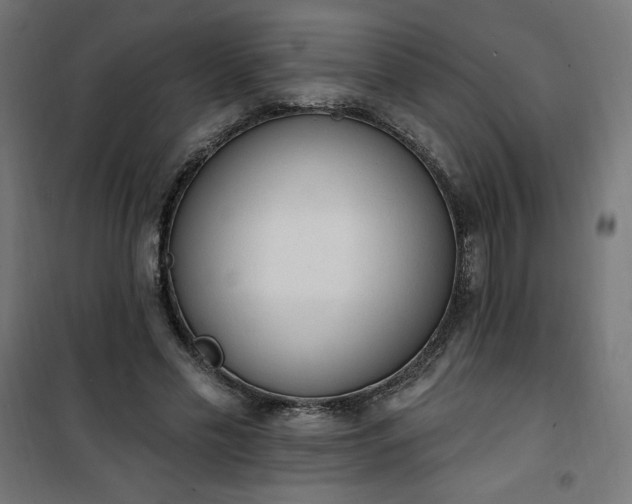 X0000101150589200807071151