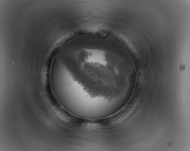 X0000101150590200807071151