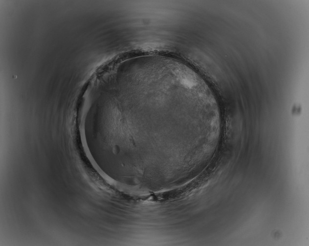 X0000101150592200807071151