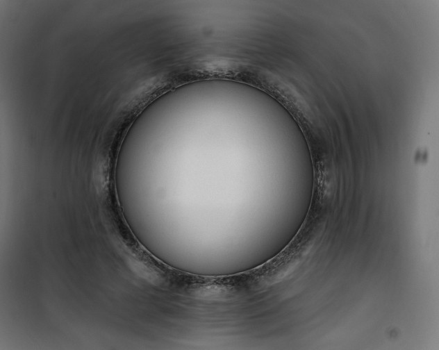 X0000101150593200807071151