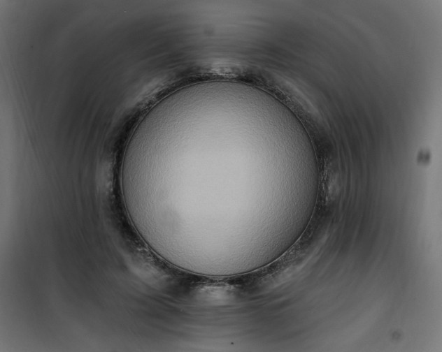 X0000101150595200807071151