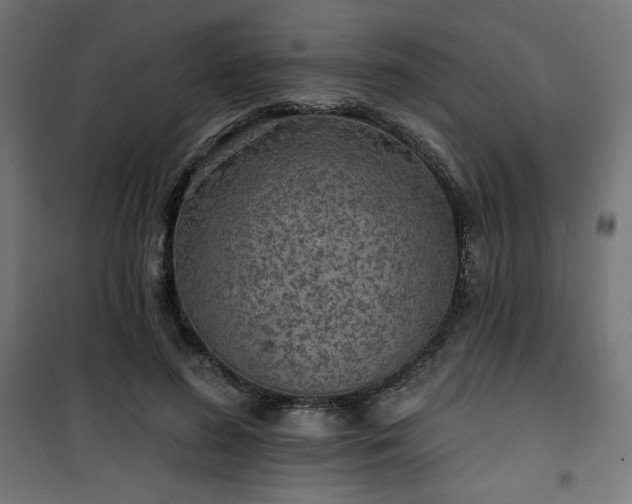 X0000101150596200807071151