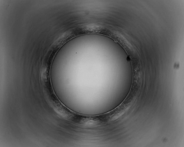 X0000101150597200807071151