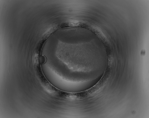 X0000101150598200807071151