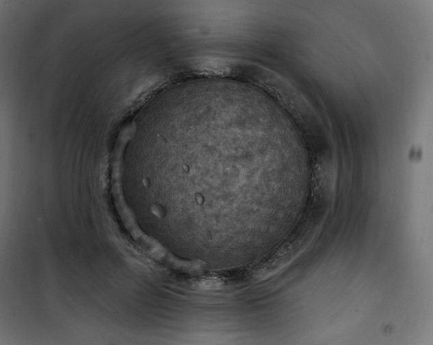 X0000101150600200807071151