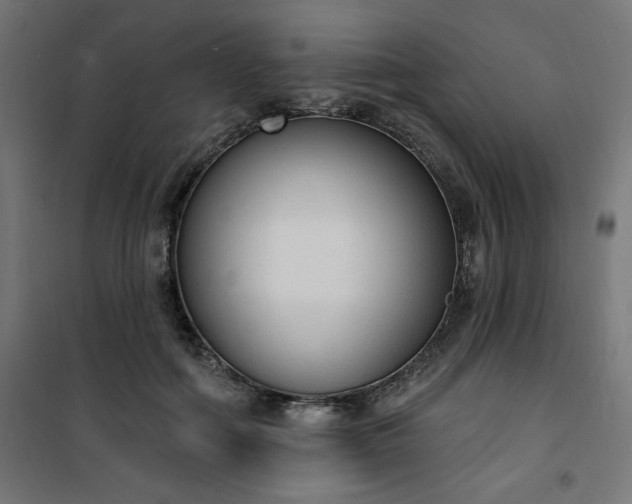 X0000101150602200807071151